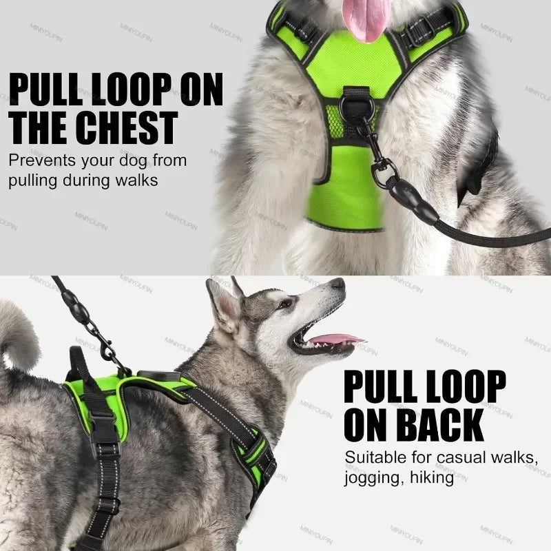 LED Luminous Dog Harness, No Pull, Adjustable, Rechargeable