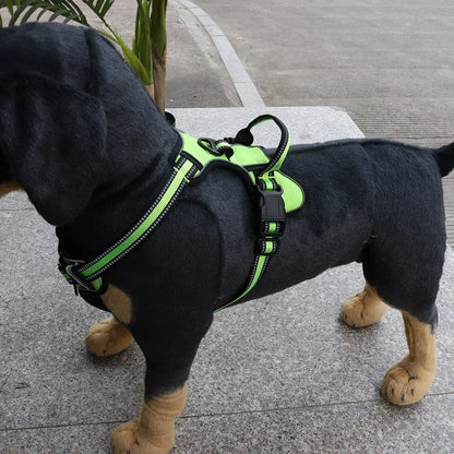 Nylon Dog Harness, Reflective, Breathable, No Pull