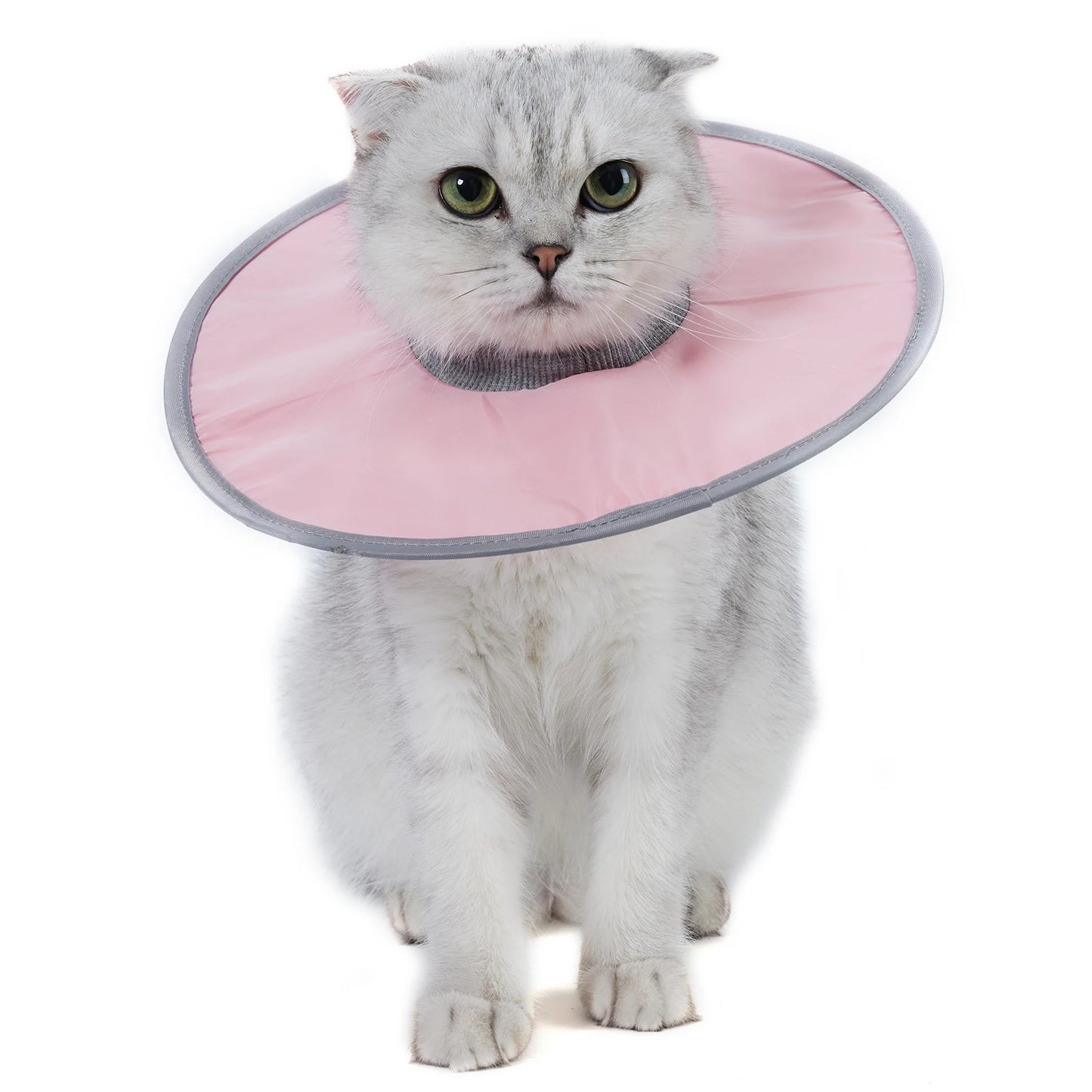 Pet Cat Protective Recovery, Anti-Licking Collar