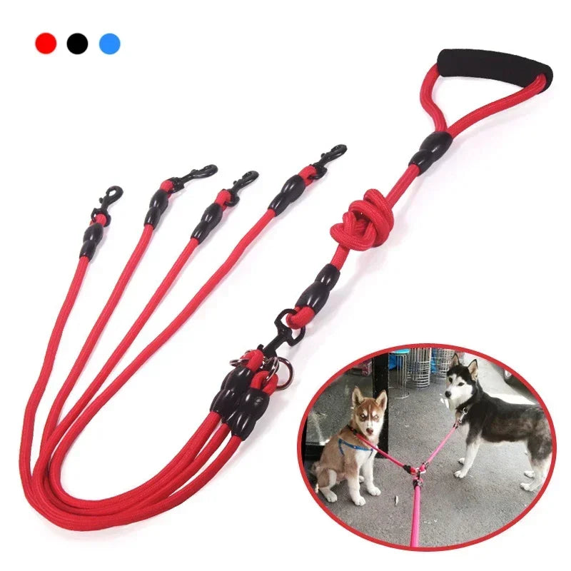 Dog Leash Walk Multi Pets Together