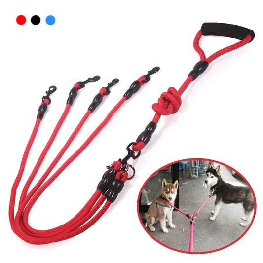 Dog Leash Walk Multi Pets Together