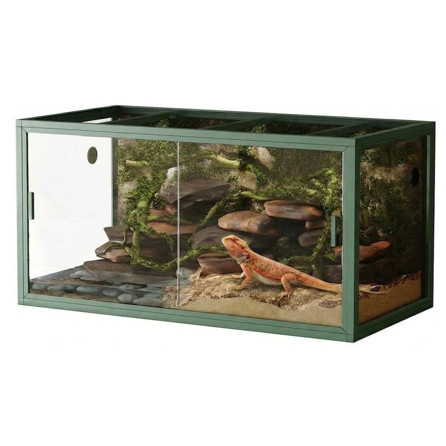 Reptile Terrarium, Glass Enclosure, Screen Ventilation Top