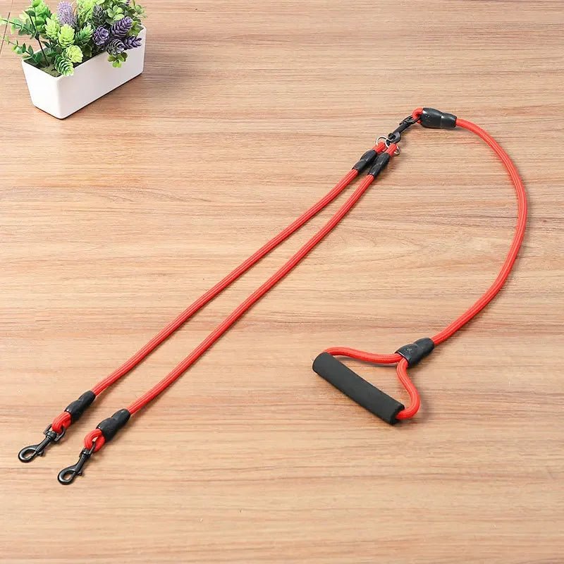Dog Leash Walk Multi Pets Together