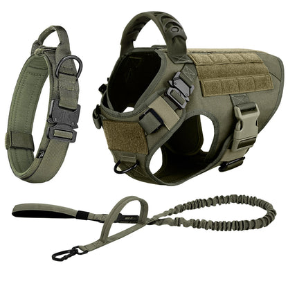 Large, Medium Dog Harness, Collar And Leash Set