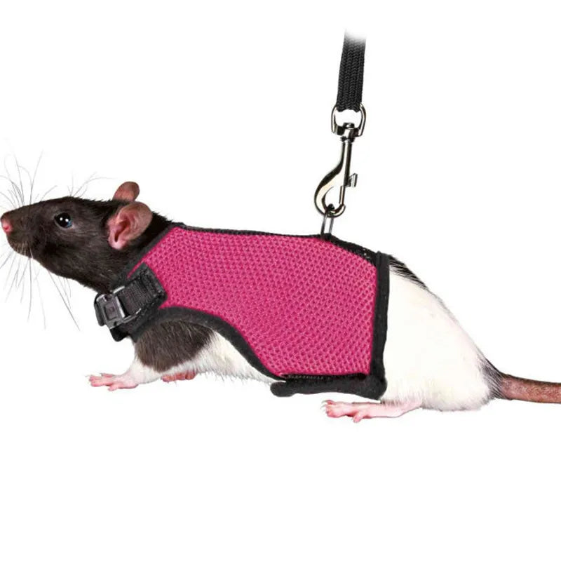 Pet Harness and Leash, Breathable Mesh, Rabbit