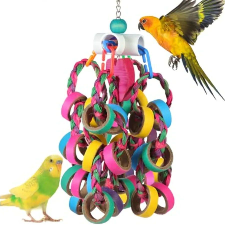 Bird Foraging, Shredde, Chew Rings