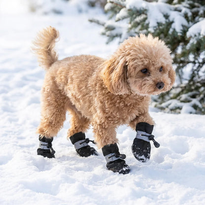 X-Small Dog Shoes Waterproof for 3-4 lb Dogs,