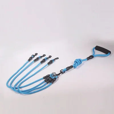 Dog Leash Walk Multi Pets Together