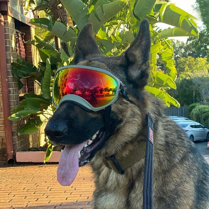Dog Goggles Anti-UV Sun Eyewear Protection