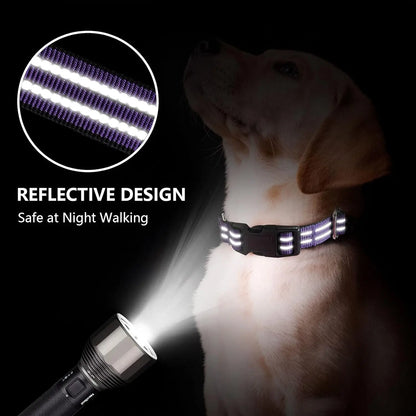 Reflective, Adjustable Dog Collar, Quick Release Buckle