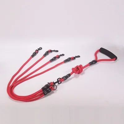Dog Leash Walk Multi Pets Together