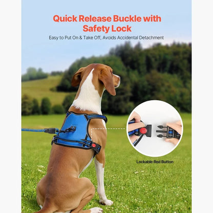 Adjustable Large Dog Harness with Leash