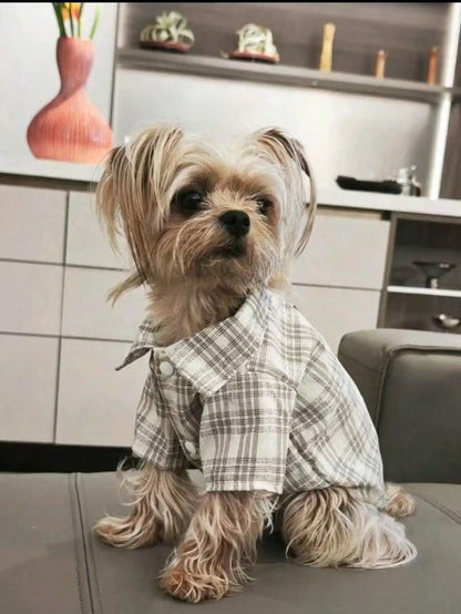 Small Pet, Spring, Summer, Plaid Shirt