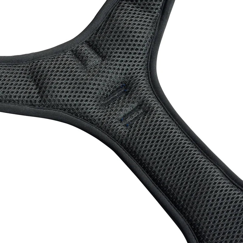 Adjustable Large Dog Harness with Leash