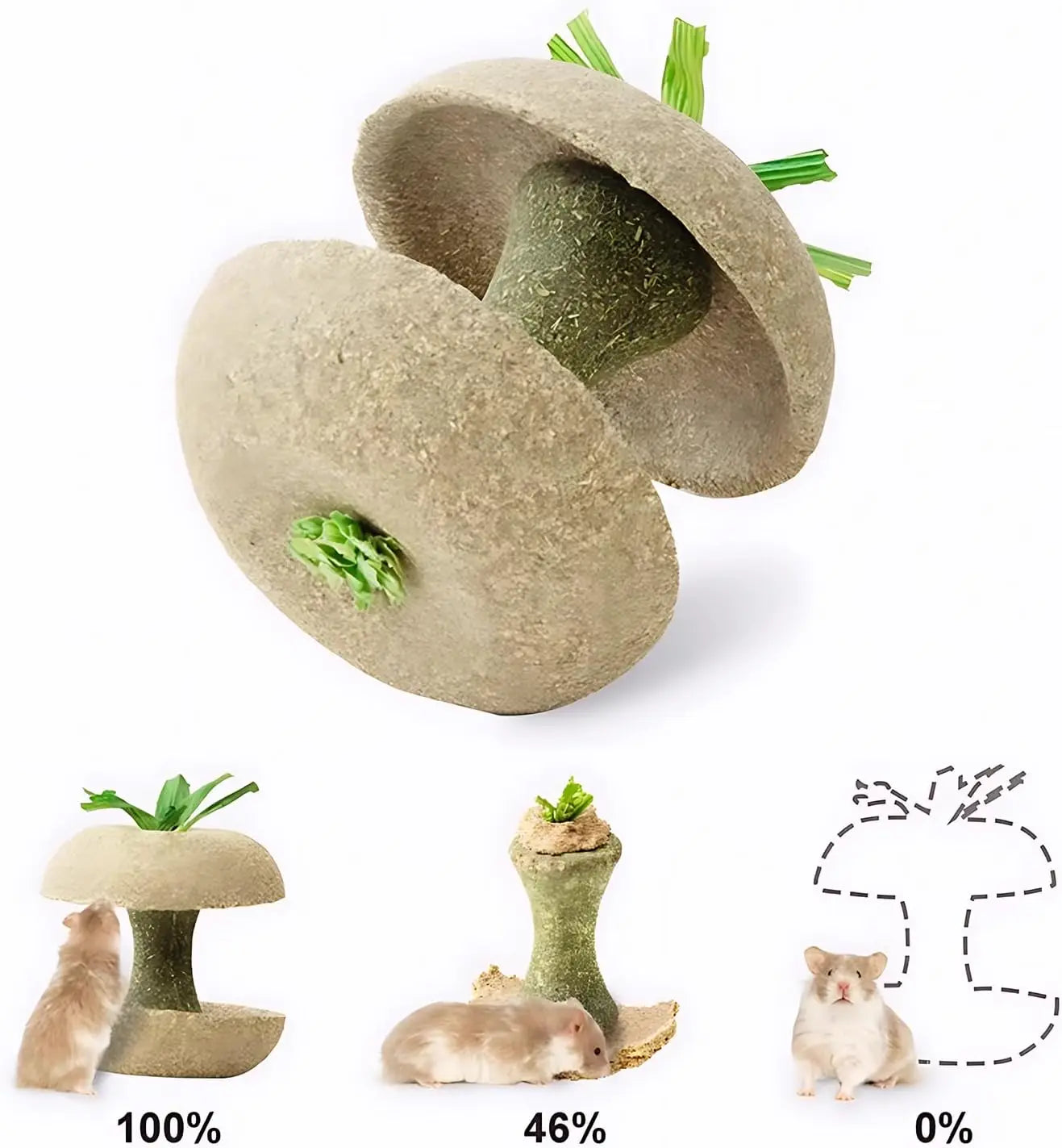Apple Core Shaped Hamster Chew Toy and Treat Holder