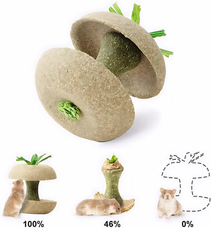 Apple Core Shaped Hamster Chew Toy and Treat Holder