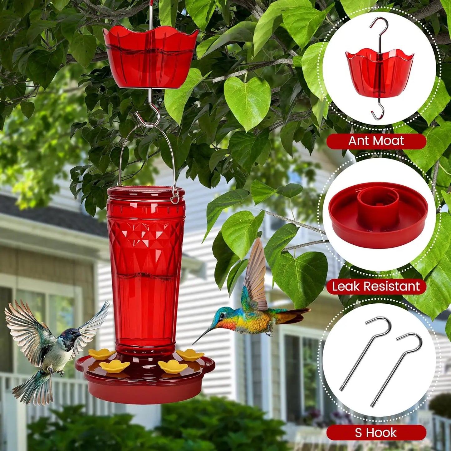 2-Pack Glass Hummingbird Feeders, 14oz, 5 Ports, Garden Decor