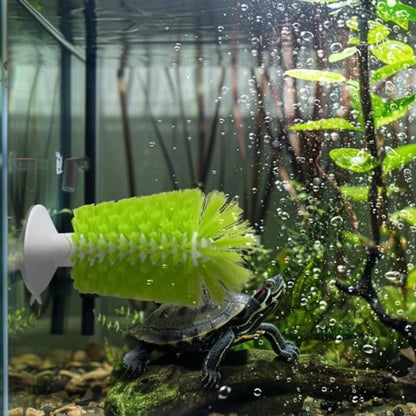 Turtle Shell and Tank Cleaning Brush Set,