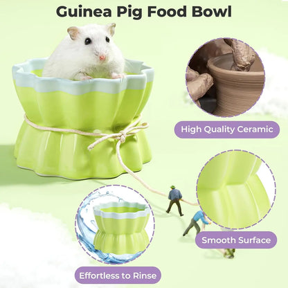 Anti-Tip Ceramic Food Dish