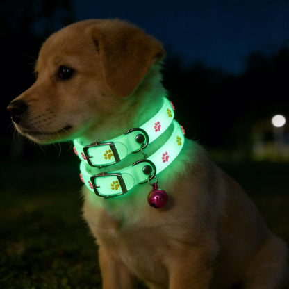 Luminous Cat Collar with Bell