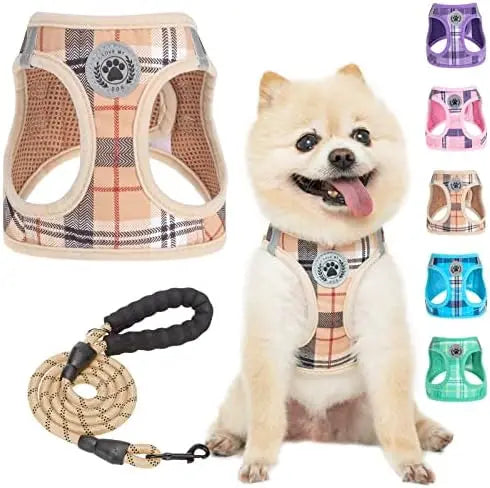 Harness Leash Set Small Dog