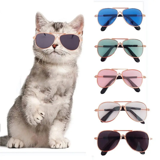 Fashion Cat Dog Sunglasses, Metal Frames