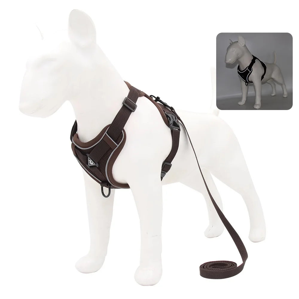 Harness Vest and Leash Set Small Dogs