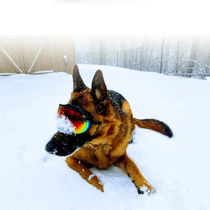 Dog Goggles Anti-UV Sun Eyewear Protection