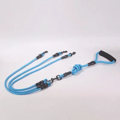 Dog Leash Walk Multi Pets Together