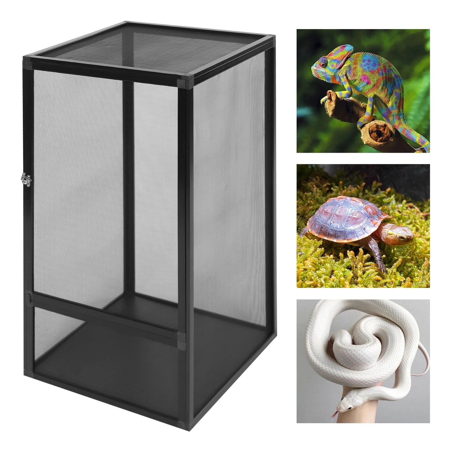 Reptile Habitat Terrarium Enclosed, Rectangular Freestanding