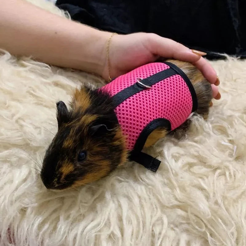 Pet Harness and Leash, Breathable Mesh, Rabbit