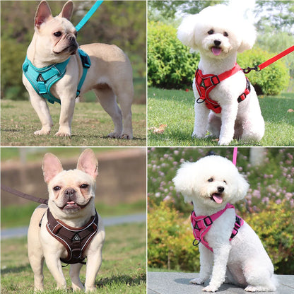 Harness Vest and Leash Set Small Dogs