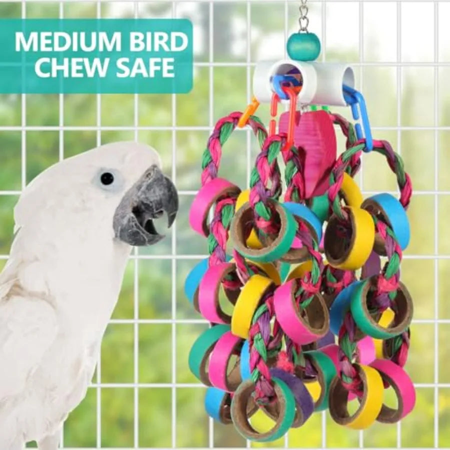 Bird Foraging, Shredde, Chew Rings