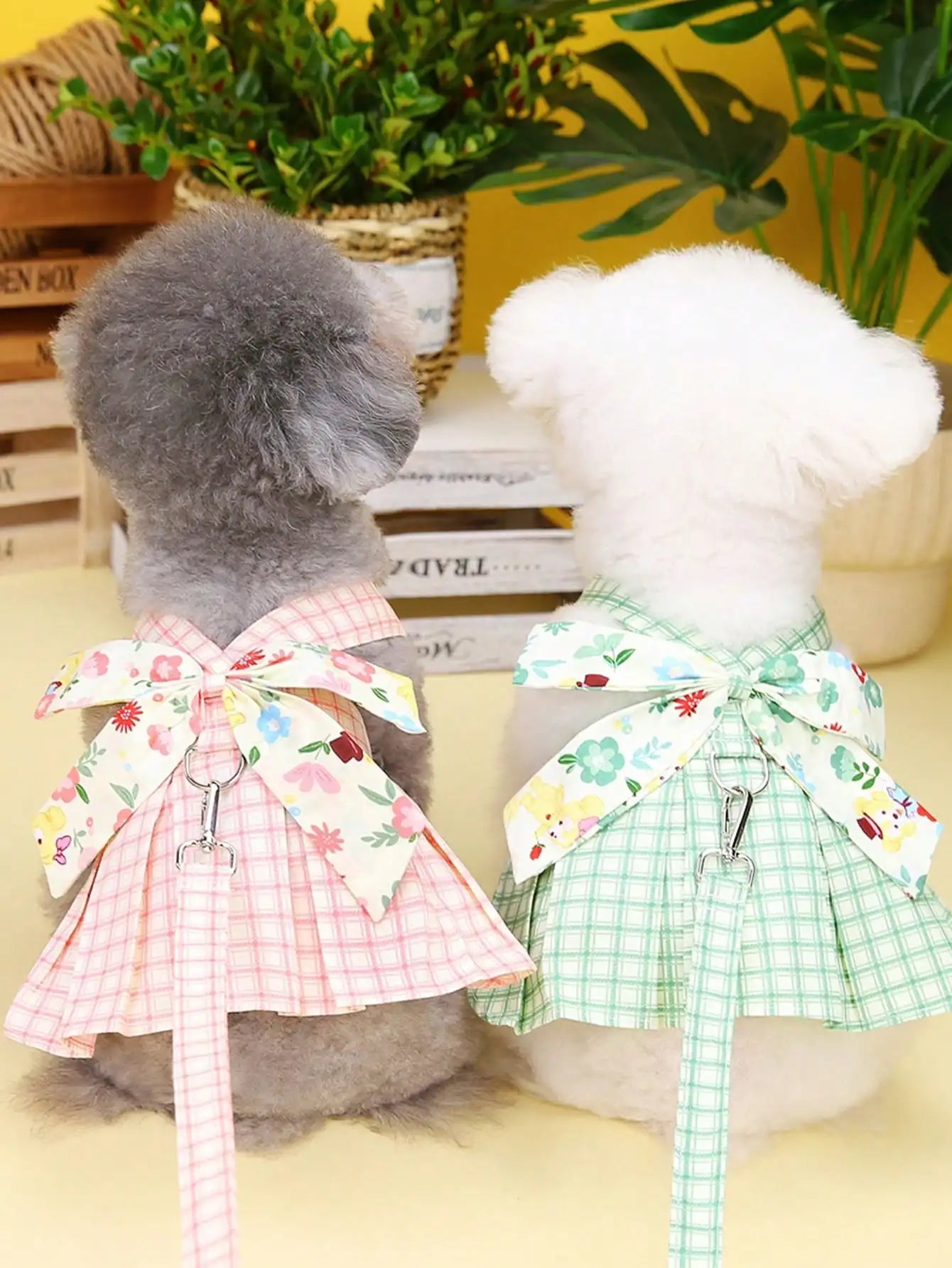 Princess Skirt Pet Harness Leash Set