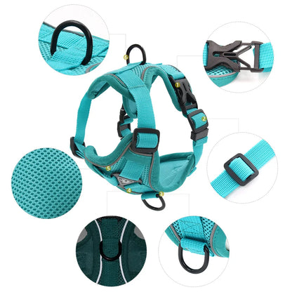 Harness Vest and Leash Set Small Dogs