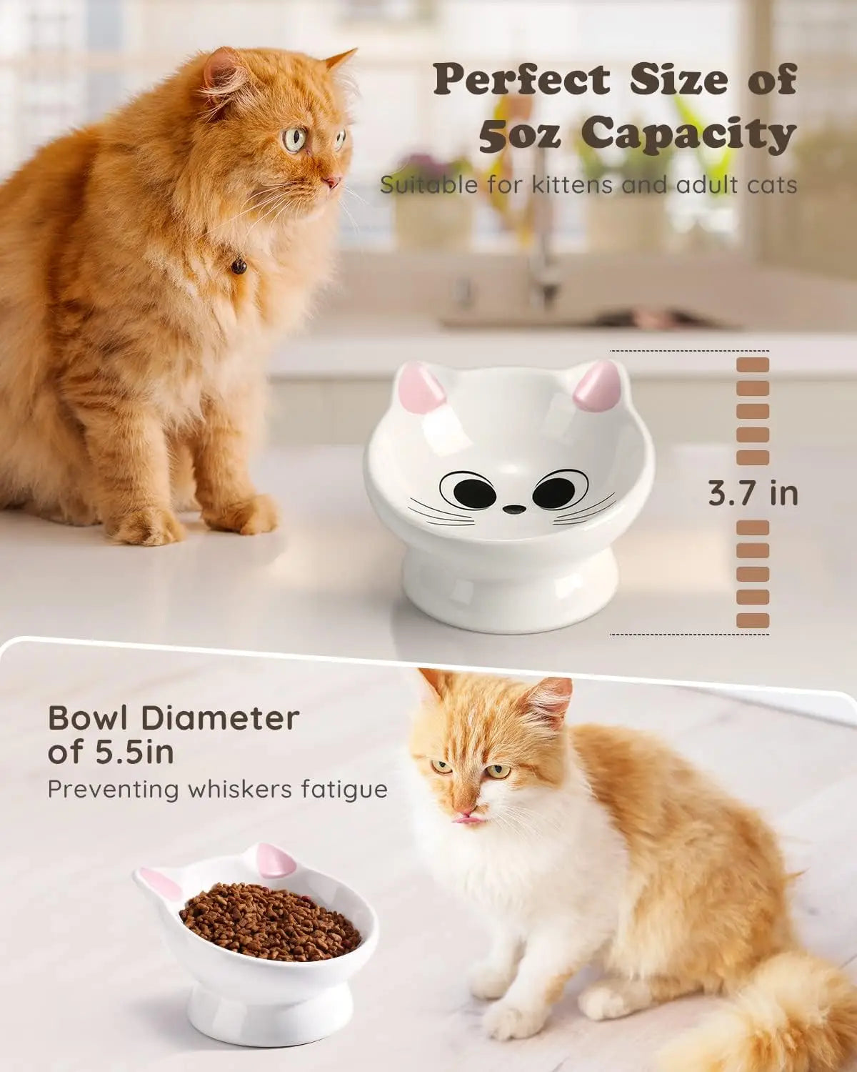 Tilted Ceramic Cat Bowl, Raised Base