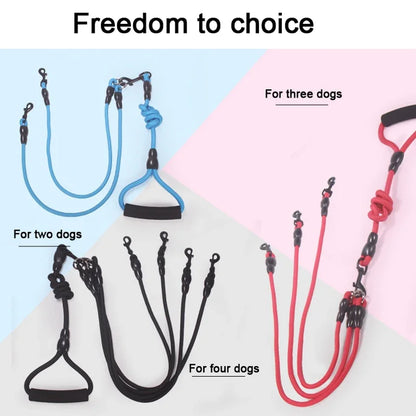 Dog Leash Walk Multi Pets Together