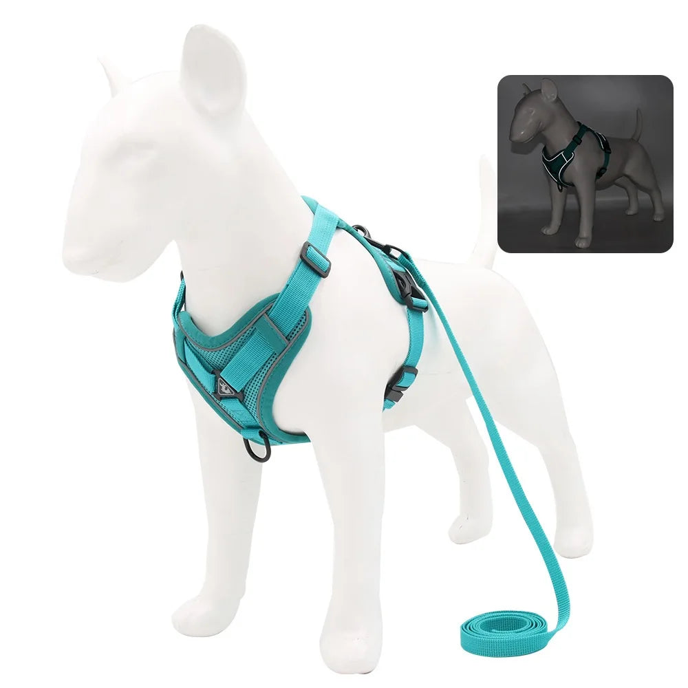 Harness Vest and Leash Set Small Dogs