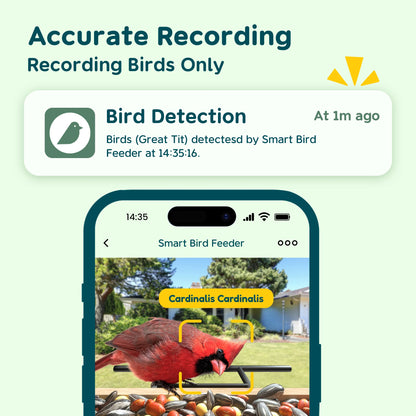 Bird Feeder with Camera, 1.5L Smart Birdhouse