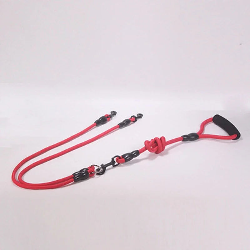 Dog Leash Walk Multi Pets Together