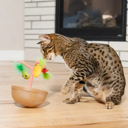 Cat Toy Fruit Bowl Interactive Jingle Balls