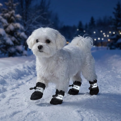 X-Small Dog Shoes Waterproof for 3-4 lb Dogs,