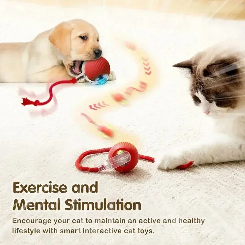 Cat or Dog Interactive Rolling Ball With Tail, Rechargeable