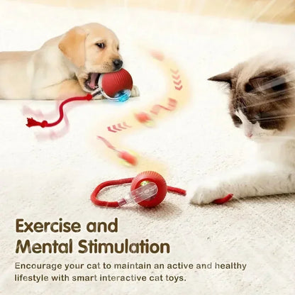 Cat or Dog Interactive Rolling Ball With Tail, Rechargeable