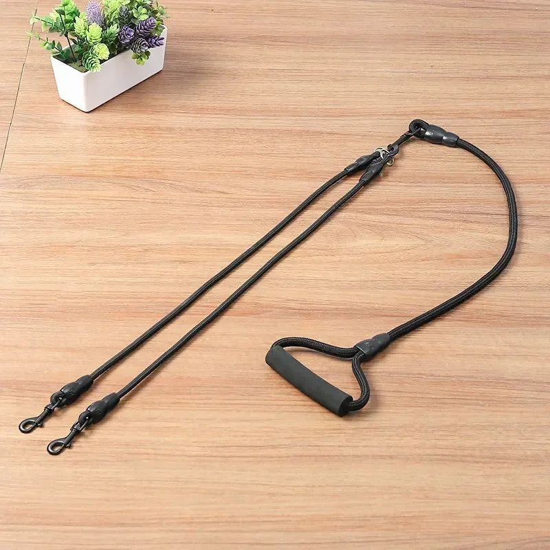 Dog Leash Walk Multi Pets Together