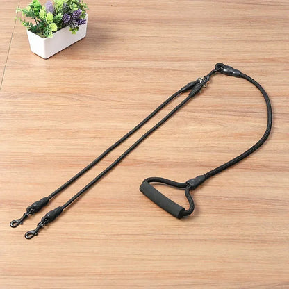 Dog Leash Walk Multi Pets Together