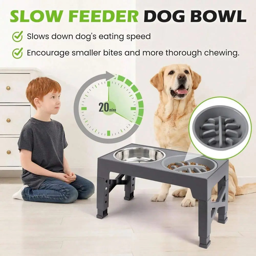 2 Stainless Steel Dog Bowls, Raised, Adjustable Heights, Stand