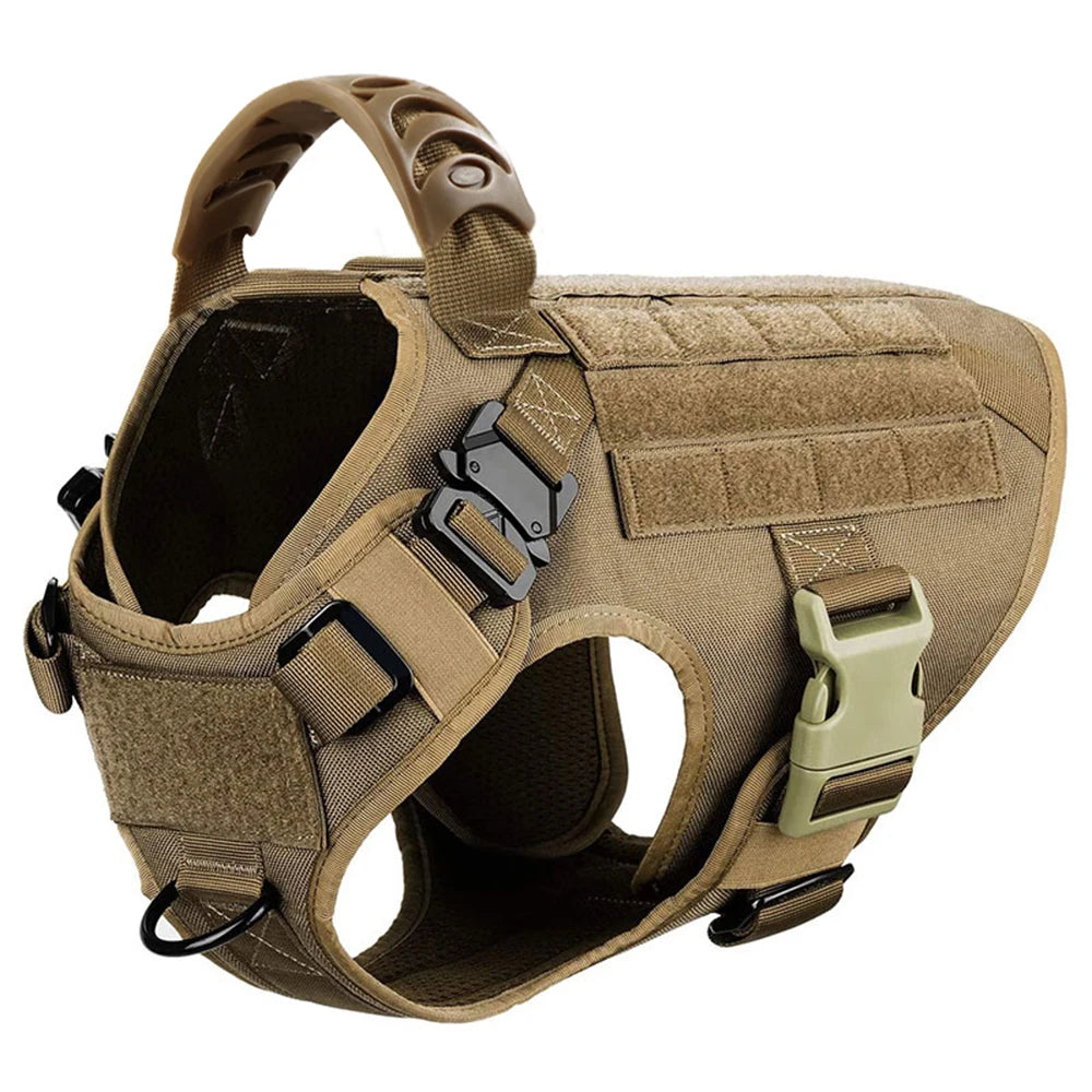 Large, Medium Dog Harness, Collar And Leash Set