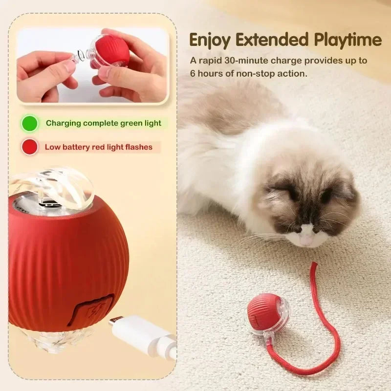 Cat or Dog Interactive Rolling Ball With Tail, Rechargeable