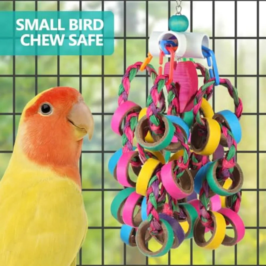 Bird Foraging, Shredde, Chew Rings